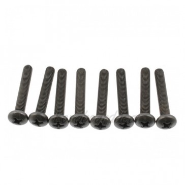 EPICA Roundhead Bolts (Phillips/Kruiskop)